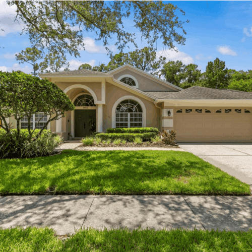 10522 CHAMBERS DR, TAMPA, FL 33626